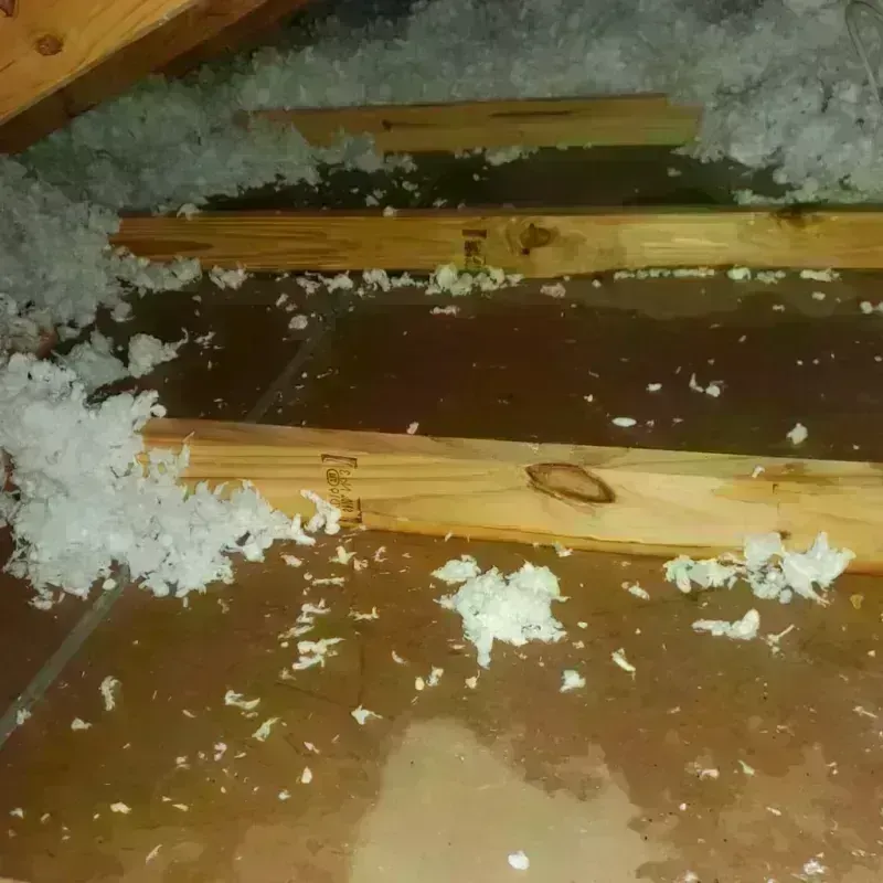 Attic Water Damage in Woodbury County, IA