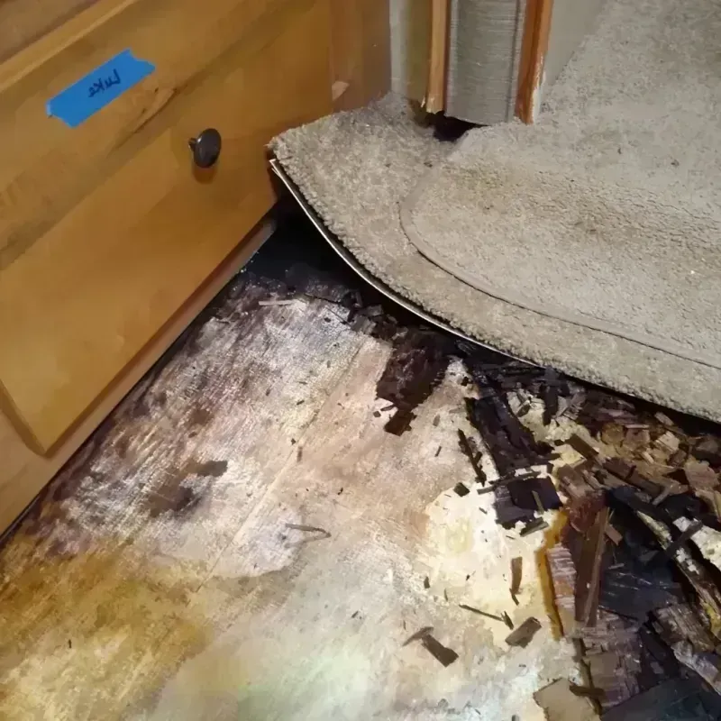 Best Wood Floor Water Damage Service in Woodbury County, IA